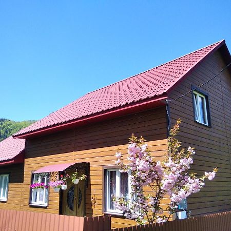 Гостевой дом Відпочинок у Карпатах, мінеральні ванни, банний Чан! Verkhnyaya Bystra Экстерьер фото