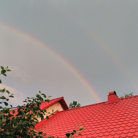 Гостевой дом Відпочинок у Карпатах, мінеральні ванни, банний Чан! Verkhnyaya Bystra Экстерьер фото