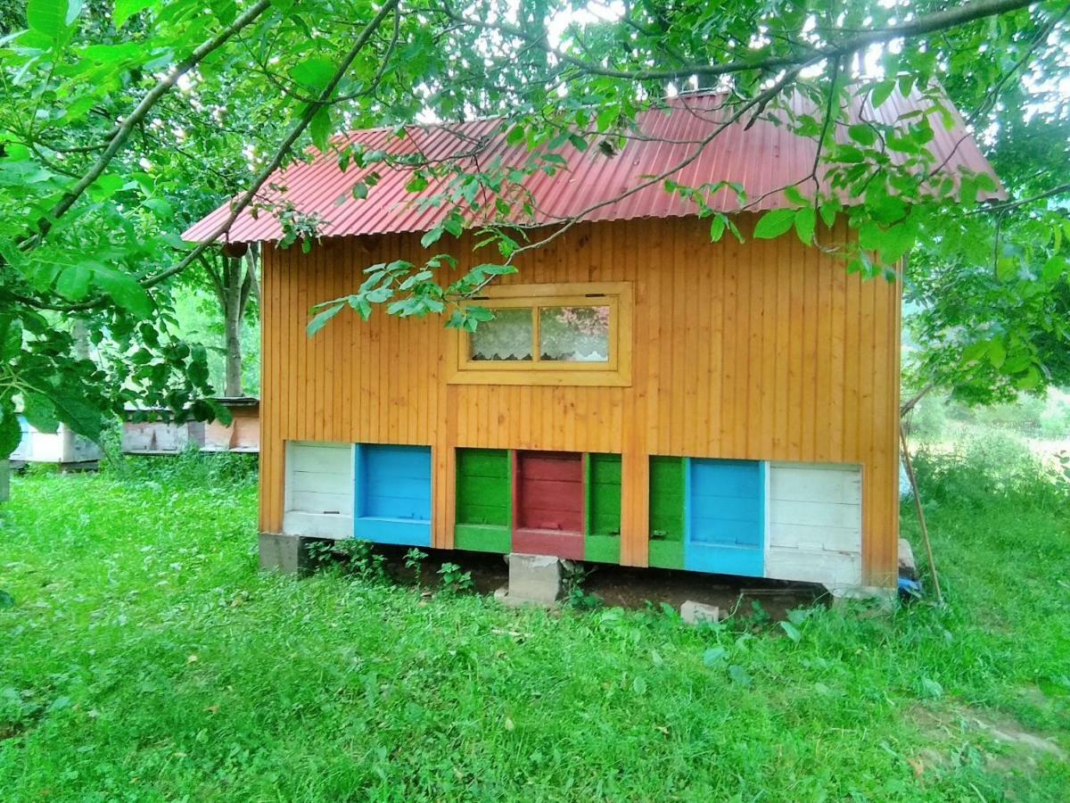 Гостевой дом Відпочинок у Карпатах, мінеральні ванни, банний Чан! Verkhnyaya Bystra Экстерьер фото